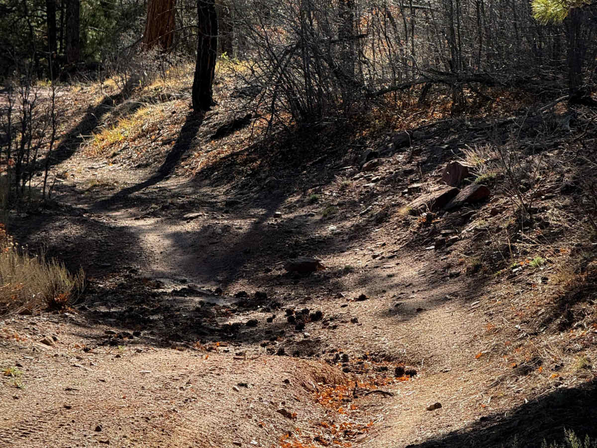 Eureka West  photo 5