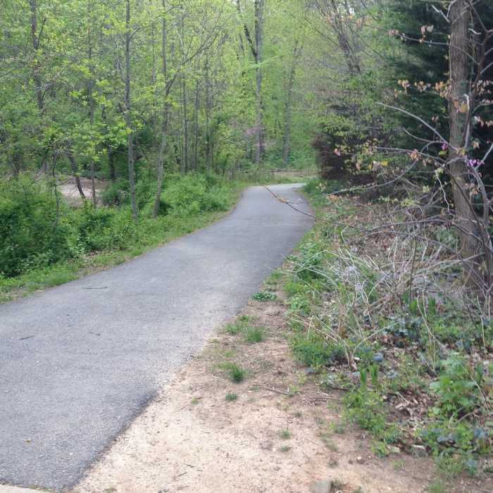 Right in the middle of the Long Branch Trail Near Long Branch Stream Valley Trail