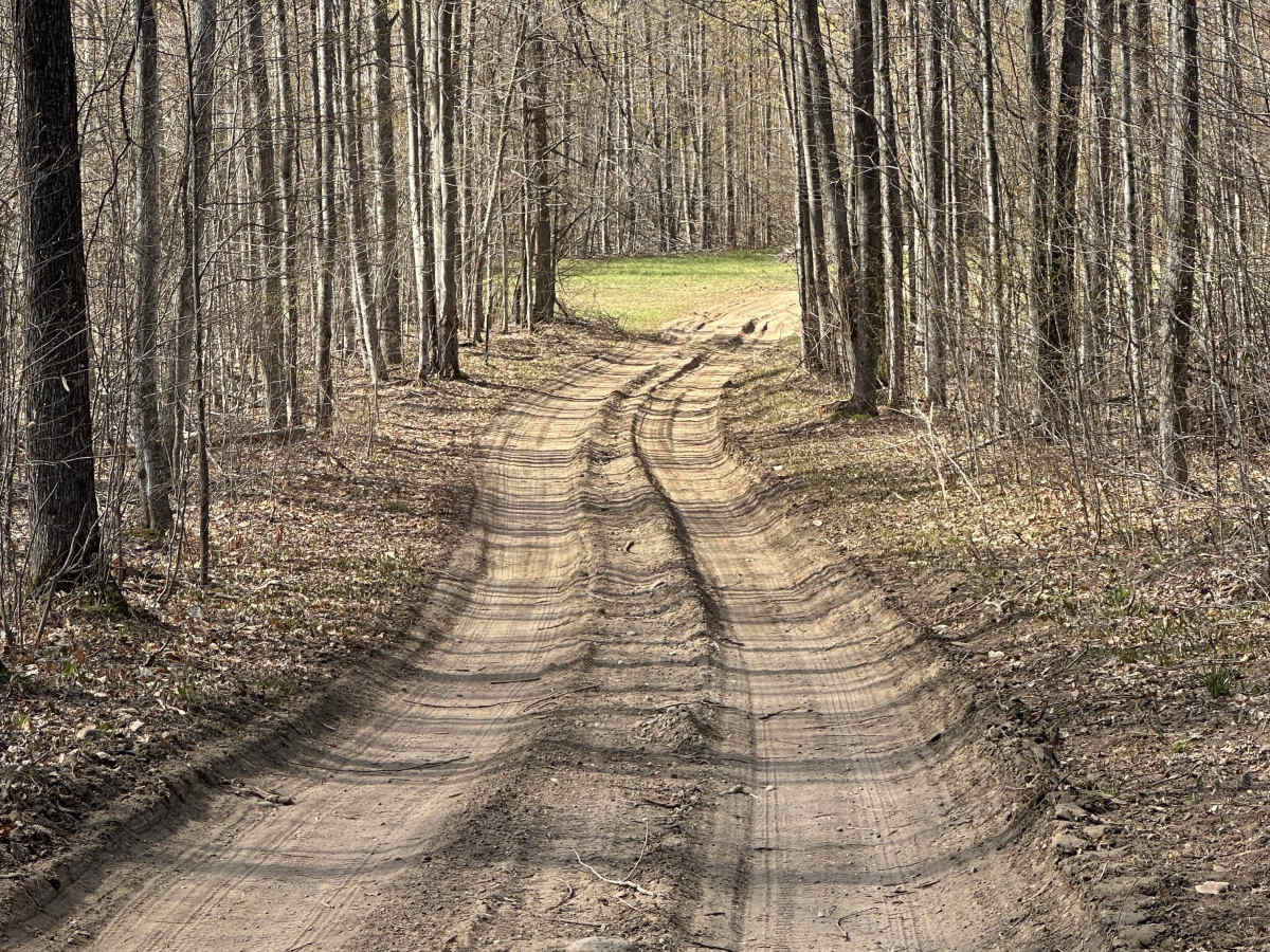 West Otsego Lake Cutover  photo 2