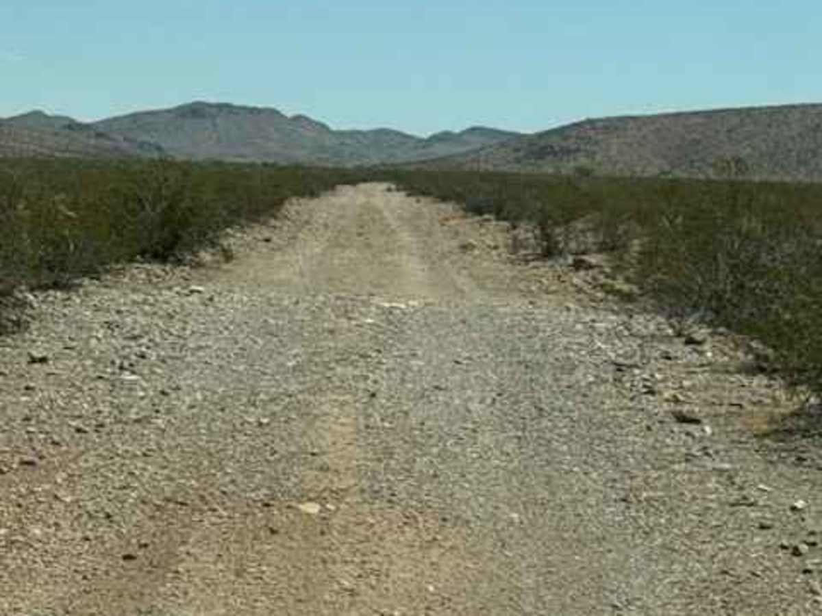 SS1169 photo 5