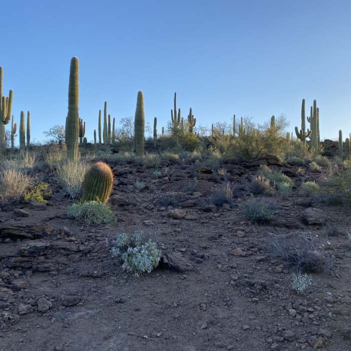 Near Sun Circle Loop