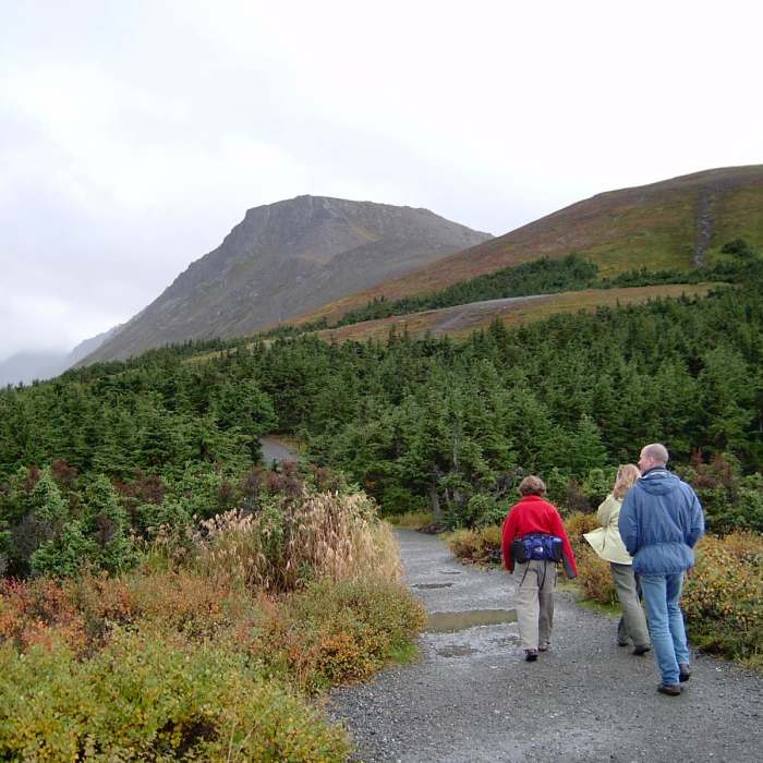 Near Flattop Mountain via Glen Alps Trailhead Near Flattop Mountain via Glen Alps Trailhead