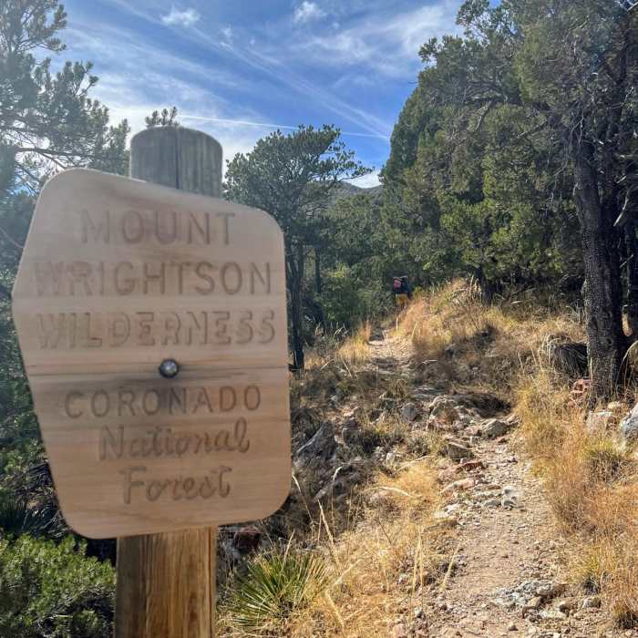 Near Arizona Trail Passage 4: Temporal Gulch