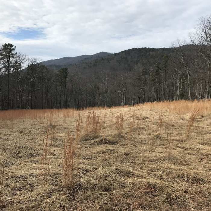 Near Laurel Run Circuit