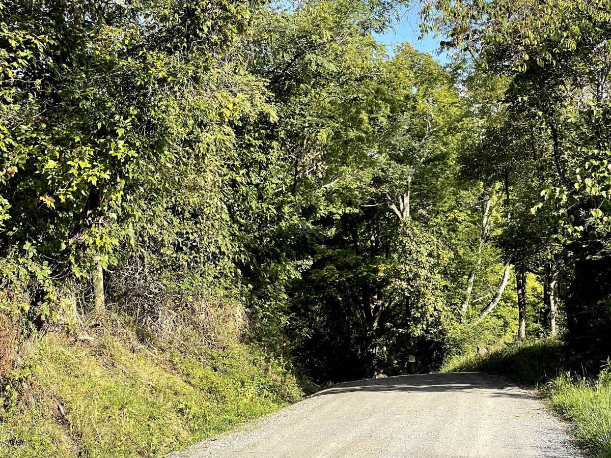 Sugar Tree Hollow photo 5