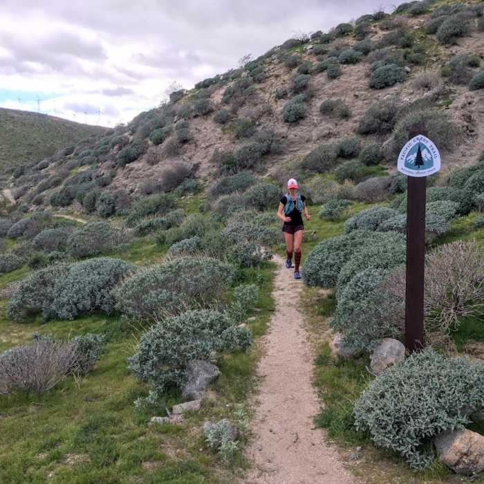 Near Cottonwood Canyon to Red Dome