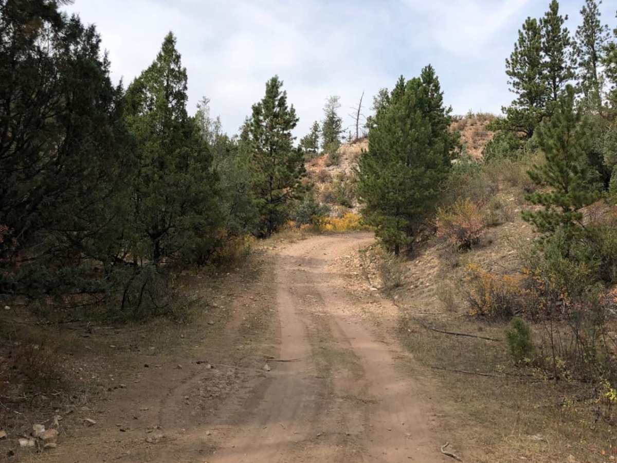 Roby Canyon FS 264 trail photo