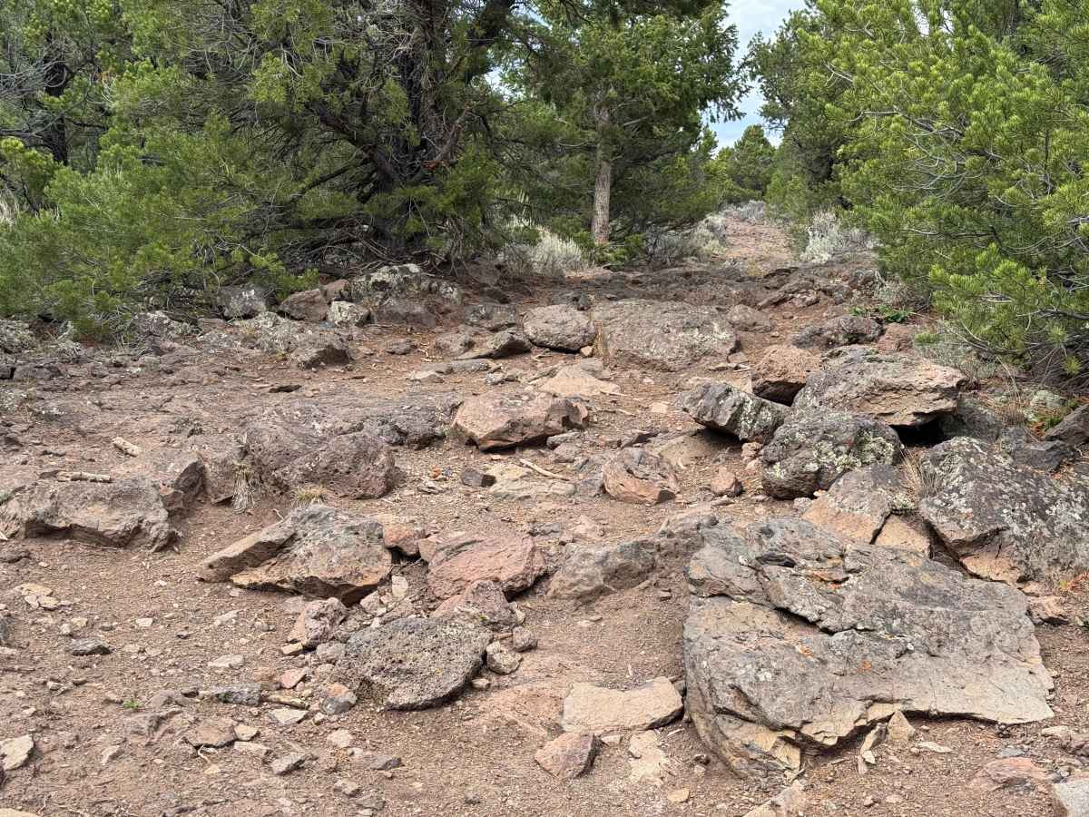 Trailhead Road photo 2
