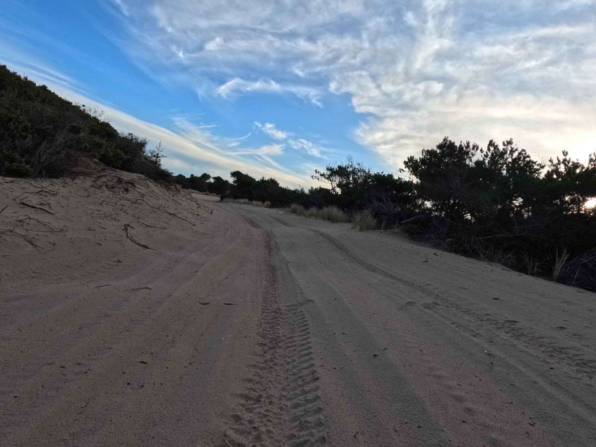 Coast Guard OHV South Trail - 1343 photo 6