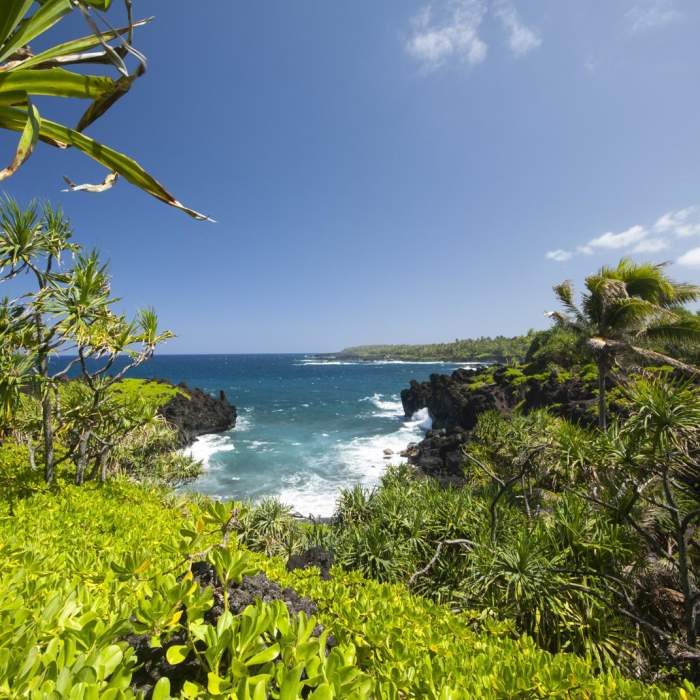 Near Wai'anapanapa Coastal Trail to Pukaulua Point Near Wai'anapanapa Coastal Trail to Pukaulua Point