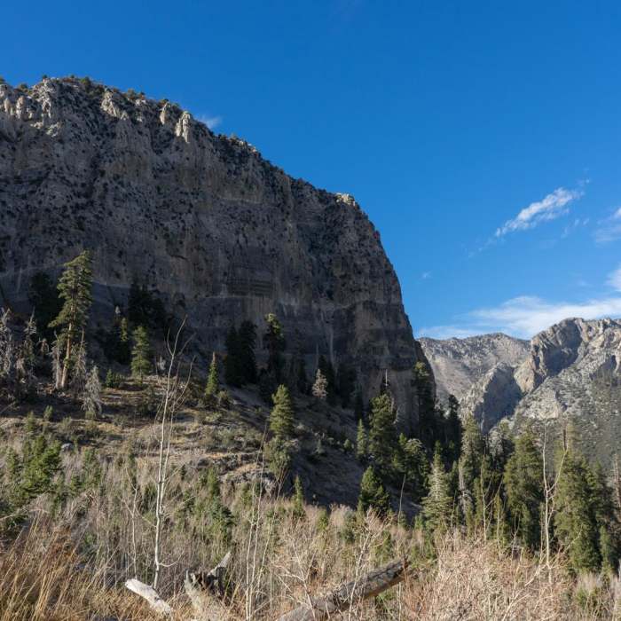Near Cathedral Rock Trail