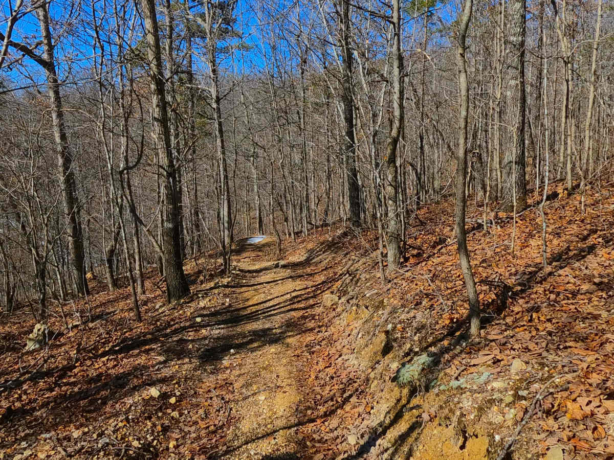 Sutton Bluff ATV 11 - SB 11 photo 4