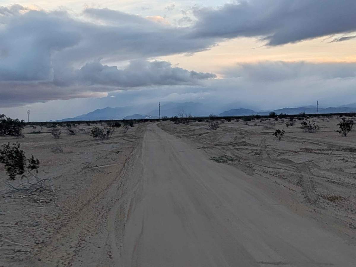 BLM 338 photo 5