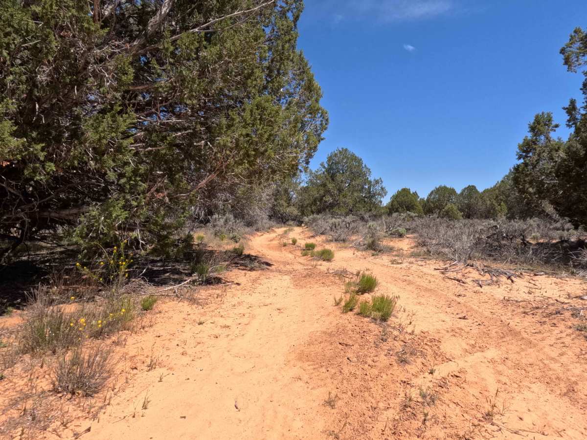 BLM 104B photo 3
