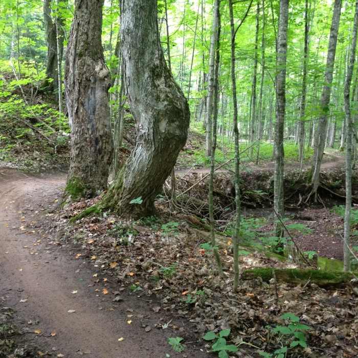 Flat bottom section of Outer Limits Loop. Near Inner Peace Loop