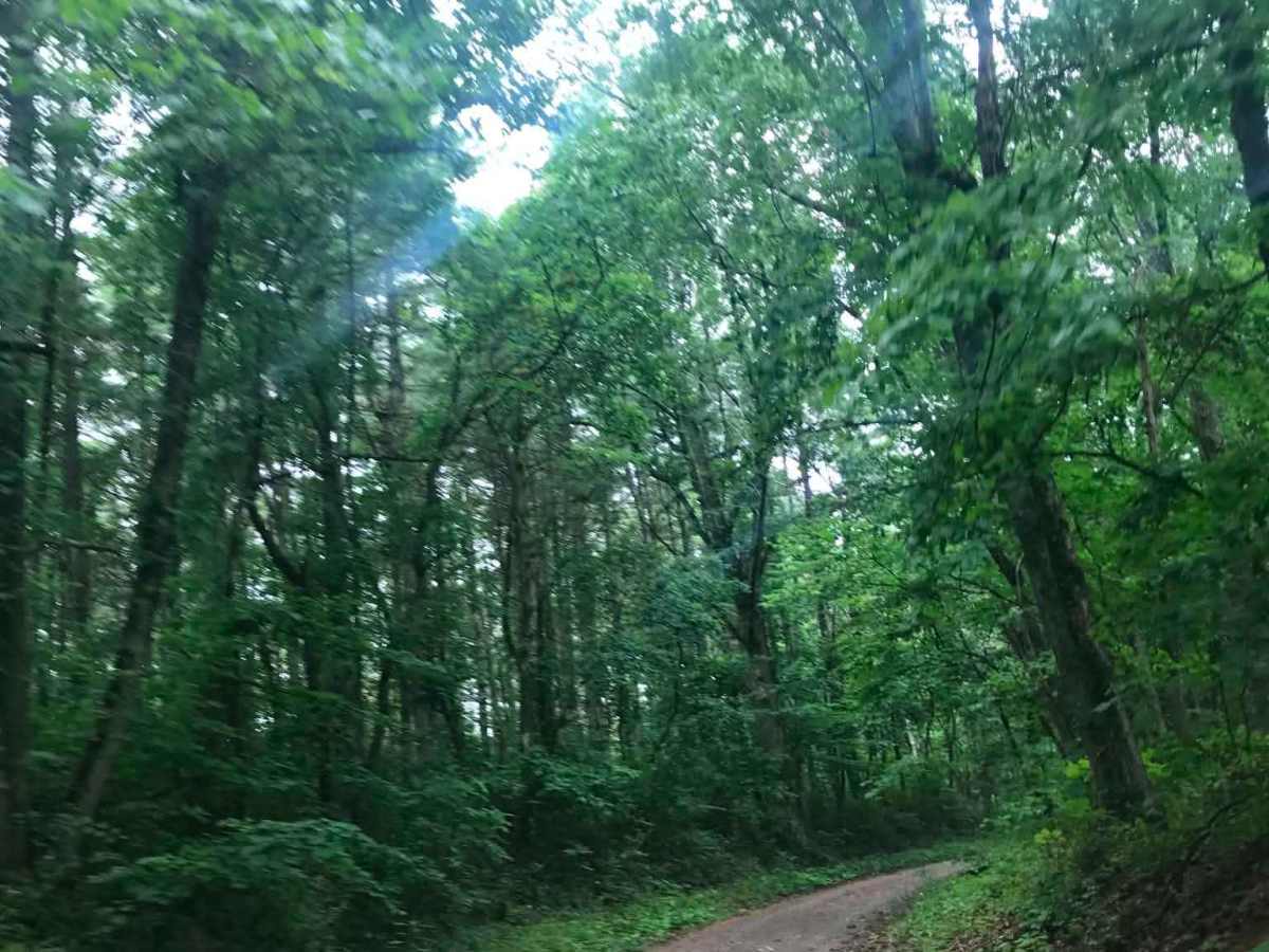 Township Road 152 trail photo