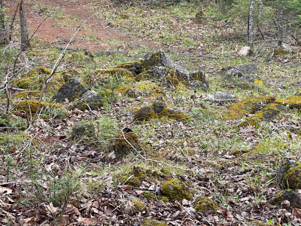 Short Run Loop photo 5