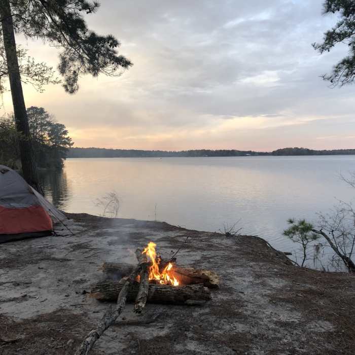 Near Wild Azalea Spur and Kincaid Loop