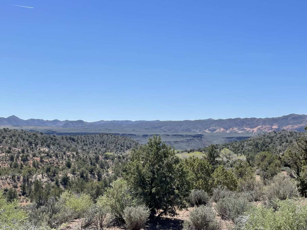 8-Mile Springs photo 2