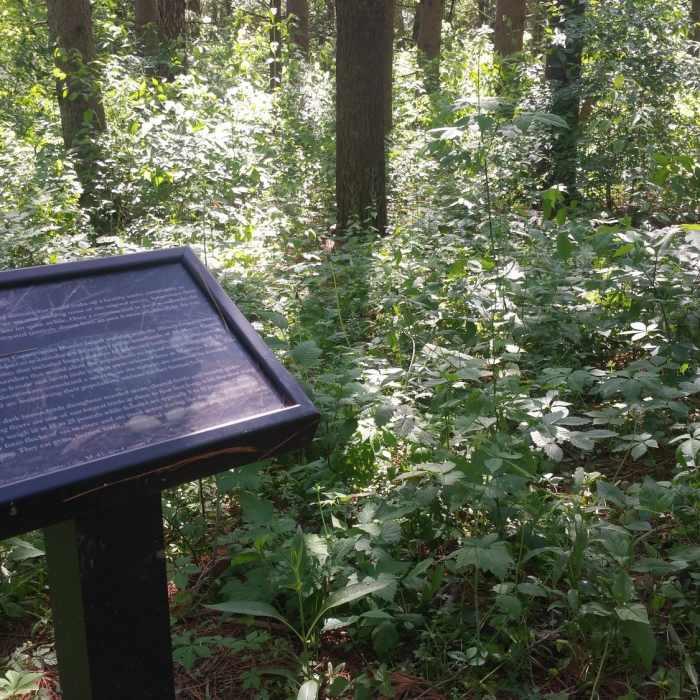 Near Short Hiking Loop