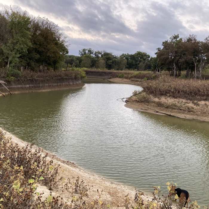 Near Great Blue Heron Loop