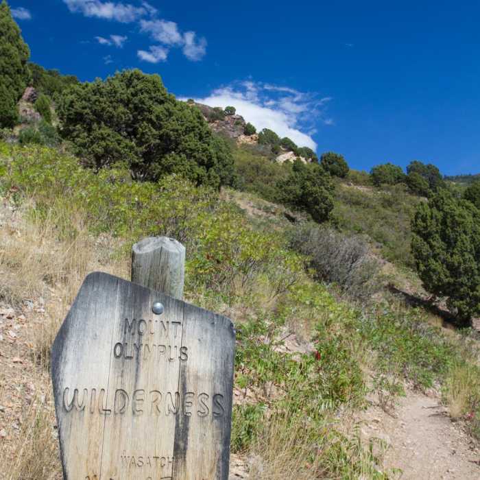Near Mount Olympus via Wasatch Boulevard Trailhead