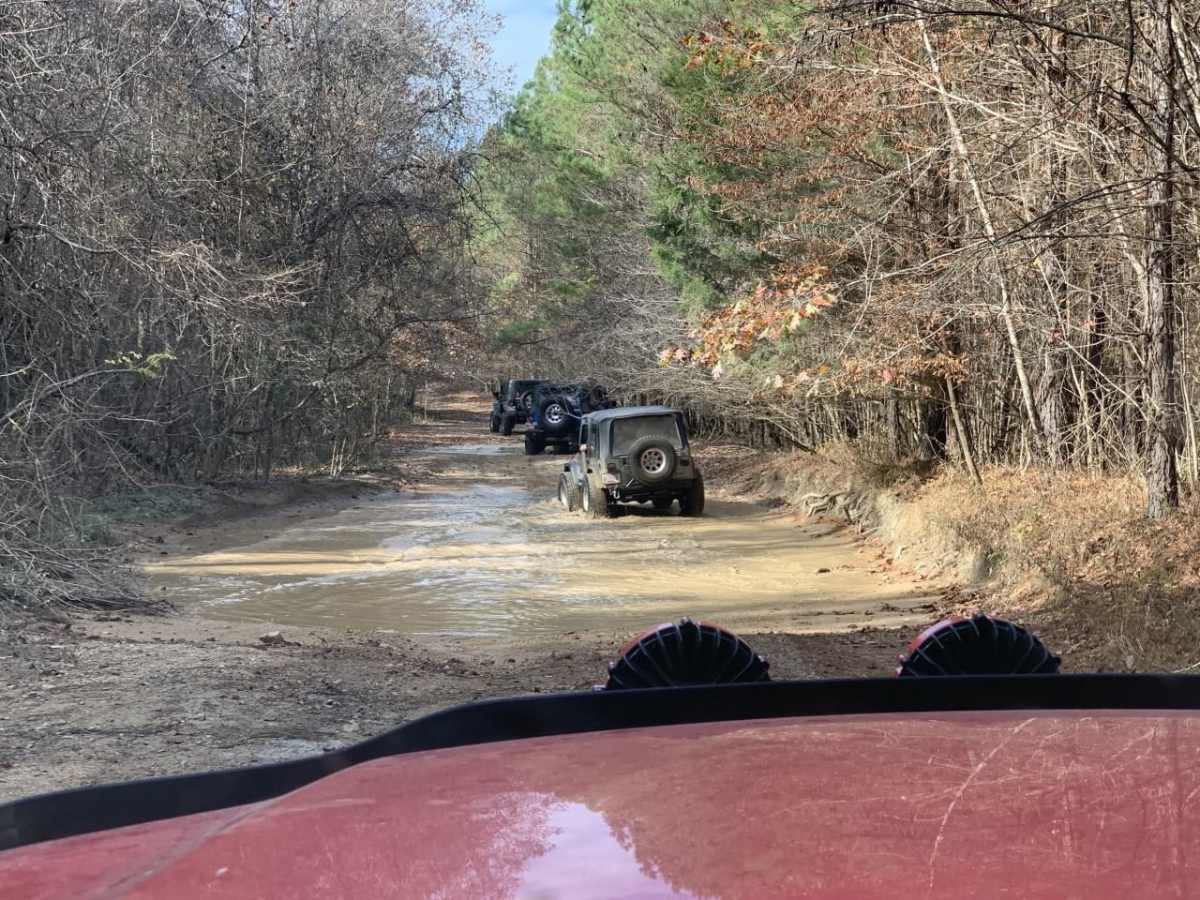 Austin Hollow trail photo