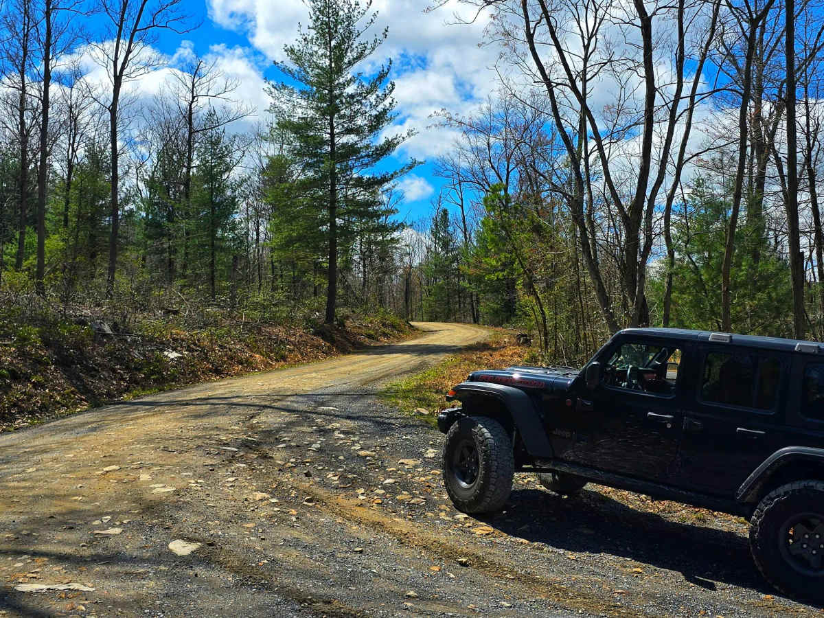 Wirt Road trail photo