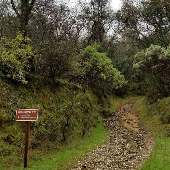 Near Cardiac Bypass Trail