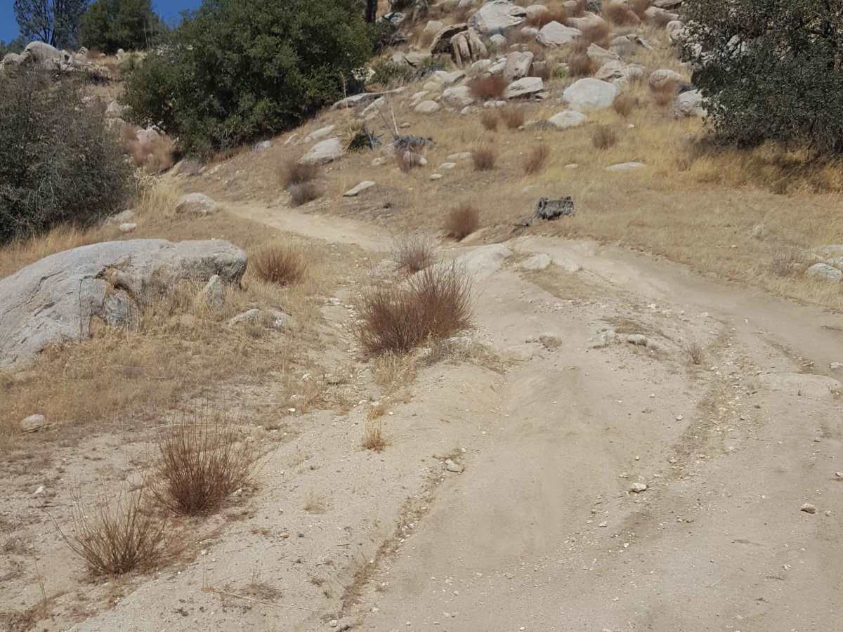 Snake Pit Trail photo 3