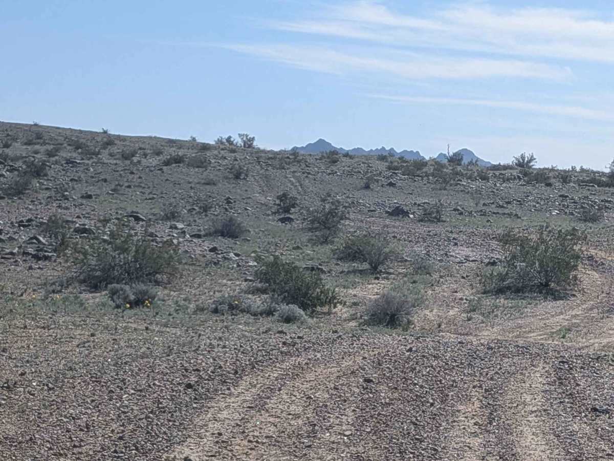 EC1124 photo 5