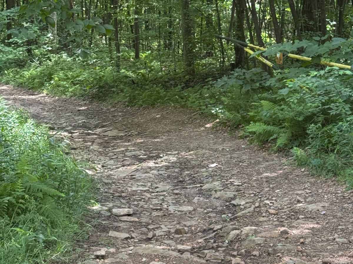 Trail 35 photo 5