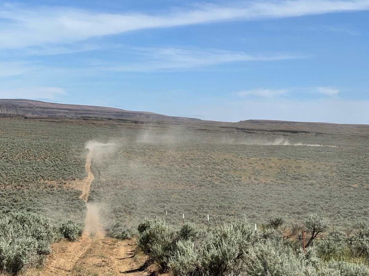 Sagebrush Flats Cattle Trail trail photo