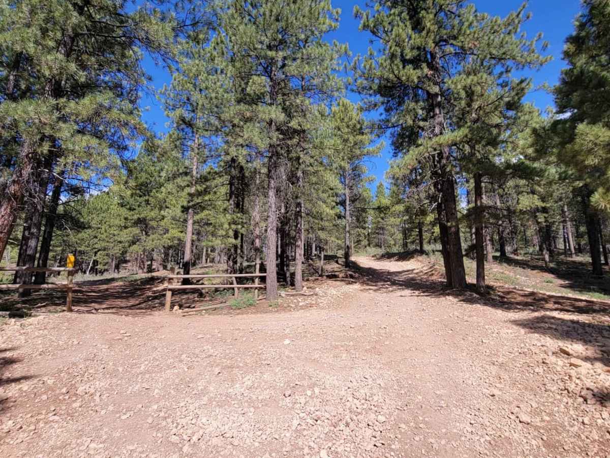 Tommy Creek Loop 1 photo 4