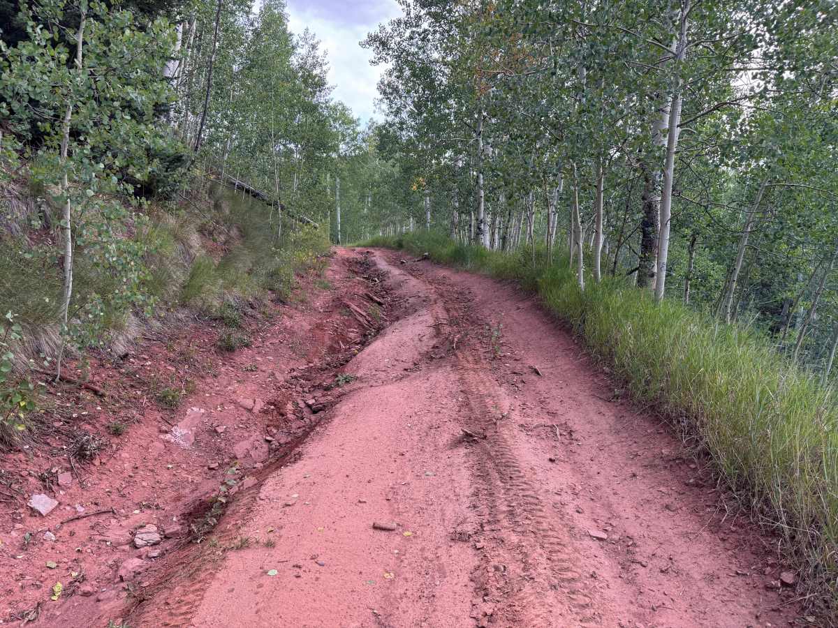 Roaring Fork Road photo 3