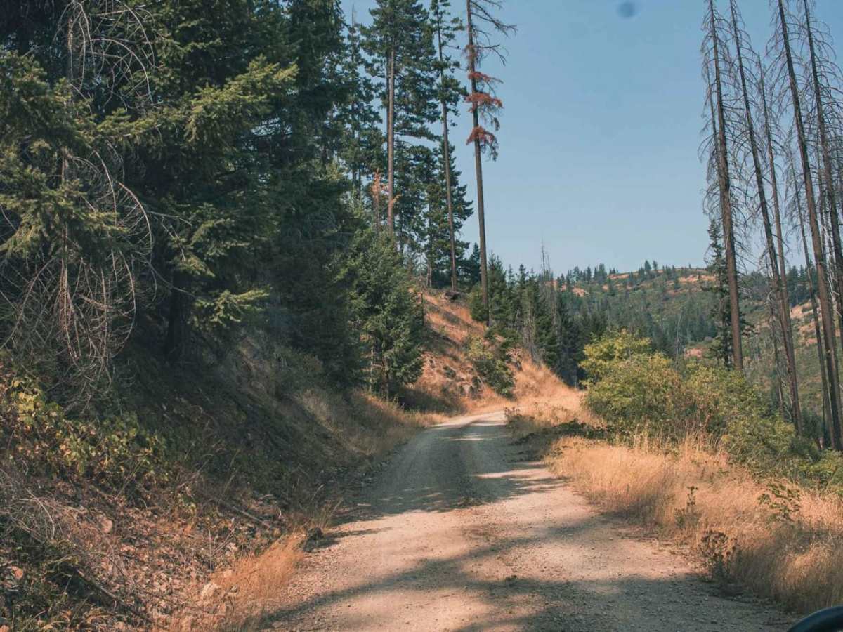 Grassy Ranch - Single Creek photo 6