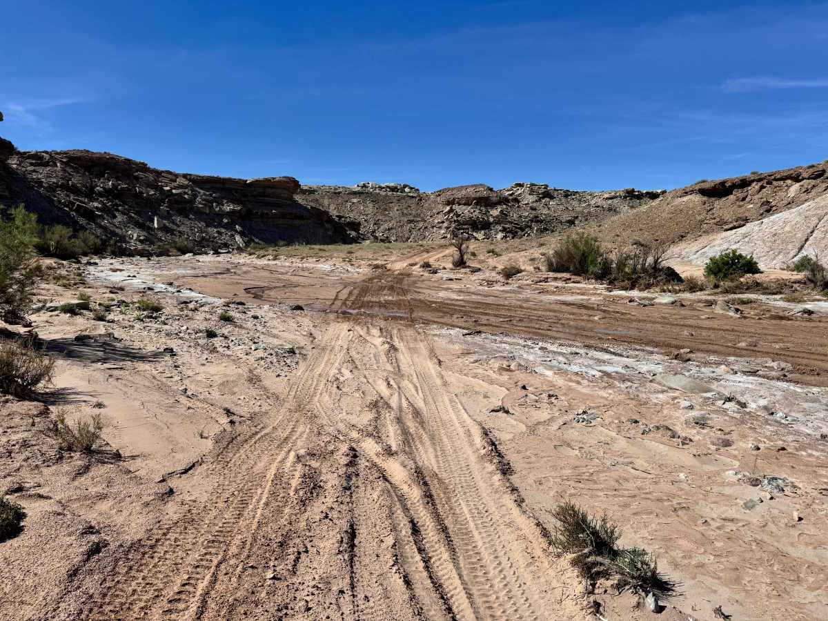 Lower Salt Wash photo 6
