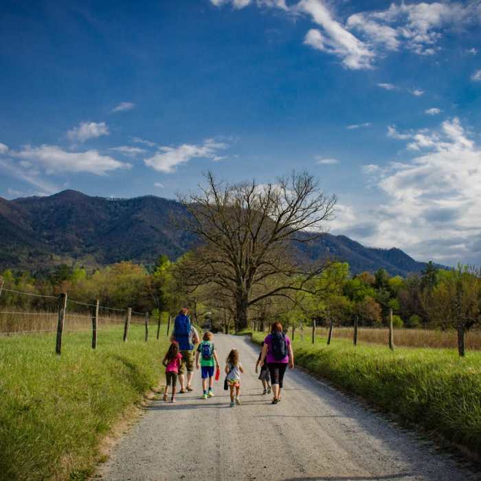 Near Cades Cove Loop Near Cades Cove Loop