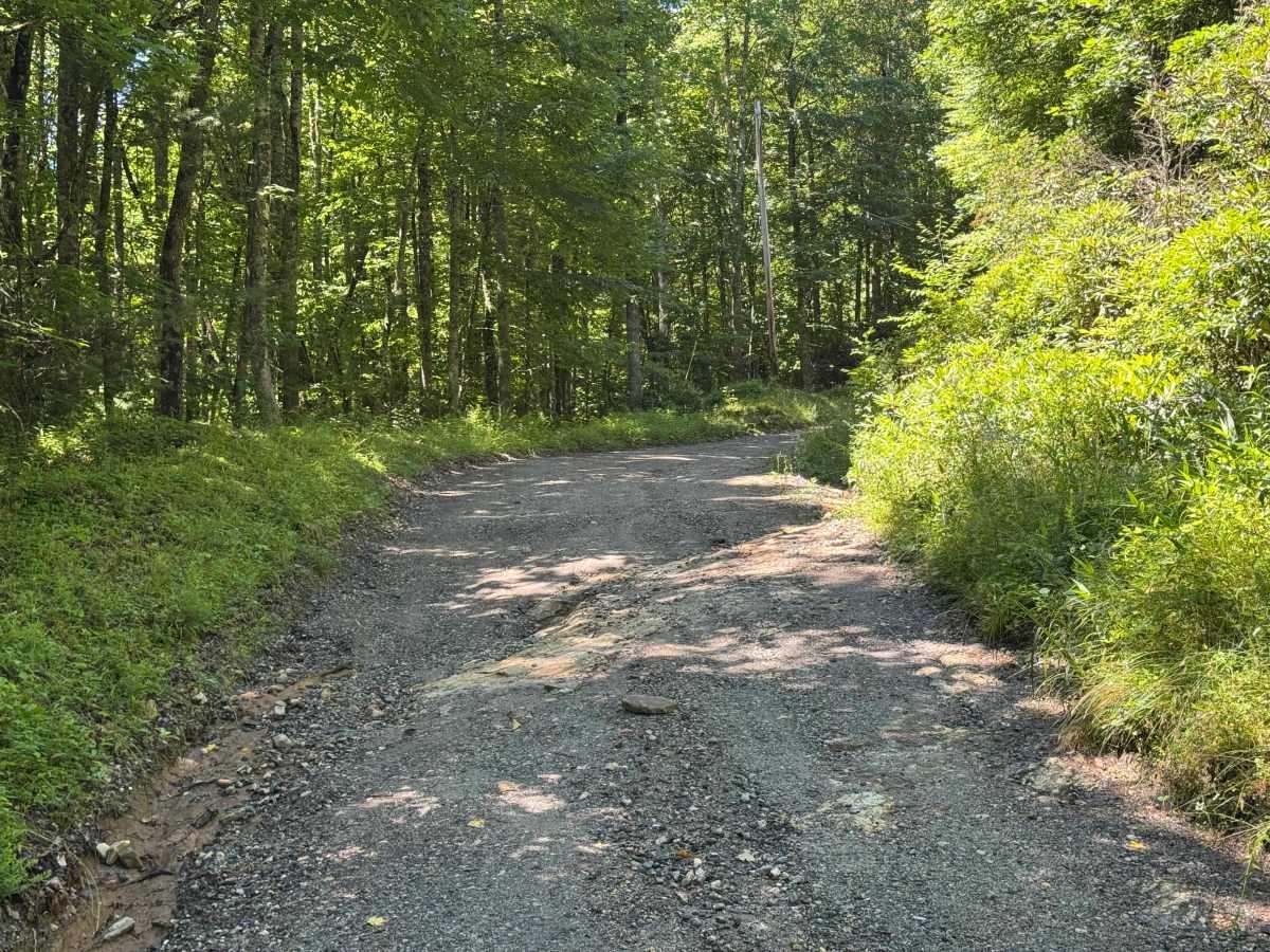 Rock Bridge Road - SR 1140 photo 3