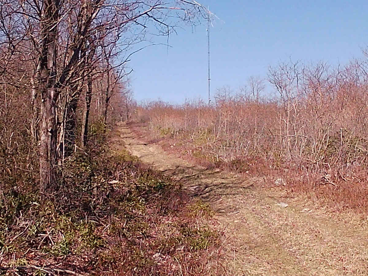 Governor's Trail photo 2