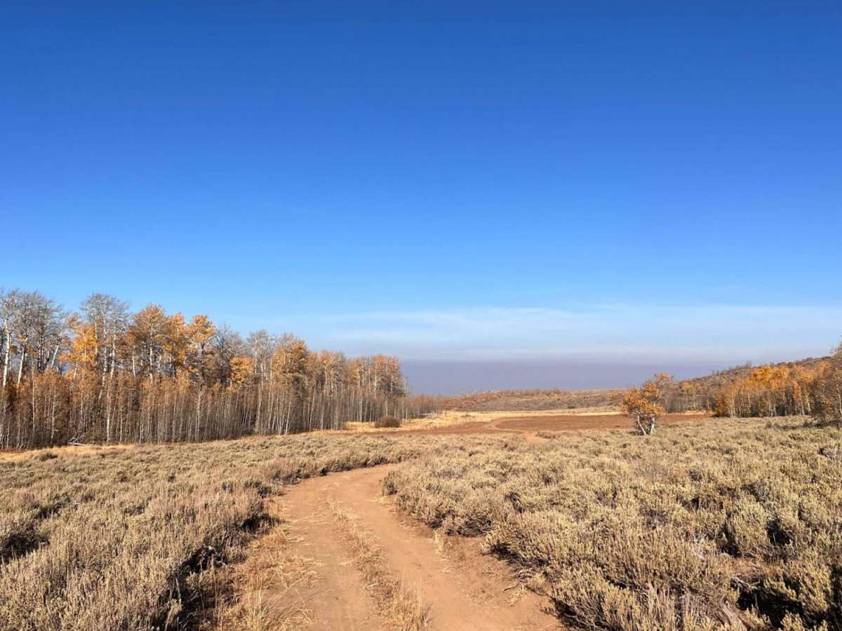 Grove Creek Road trail photo
