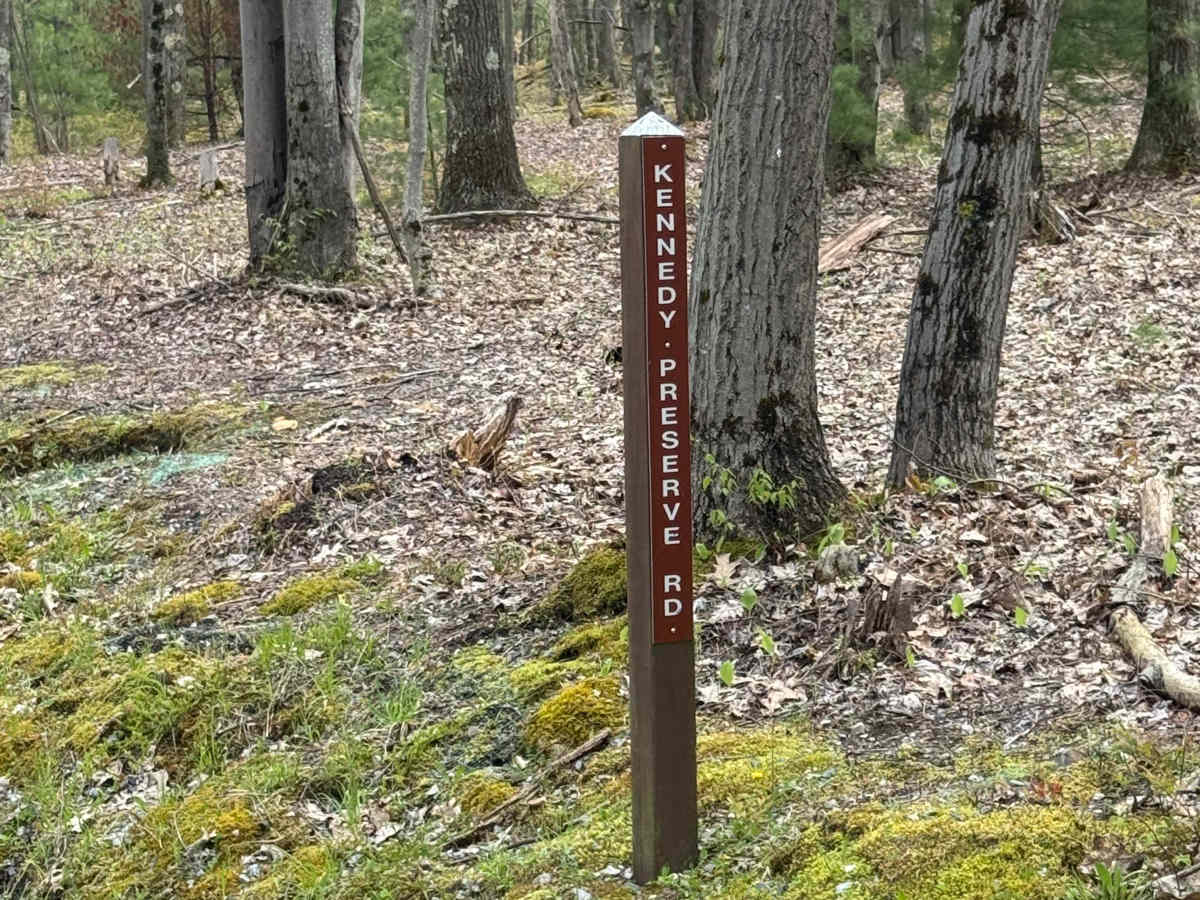 Kennedy Preserve Road trail photo