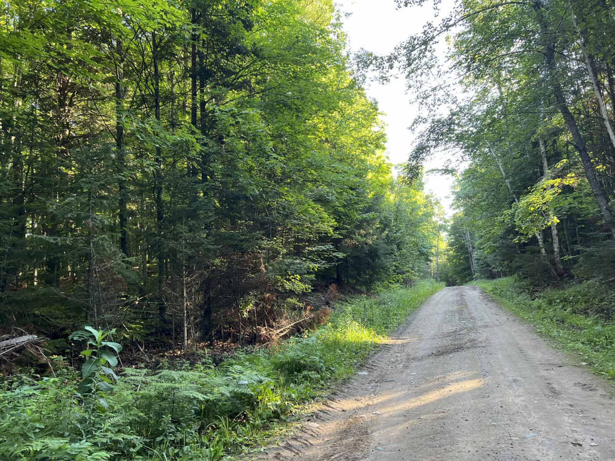 Fay Lake Outlet - FS 2076 photo 5