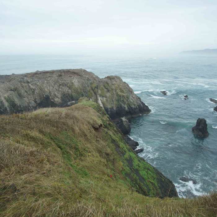 Near Yaquina Head Lighthouse Trail