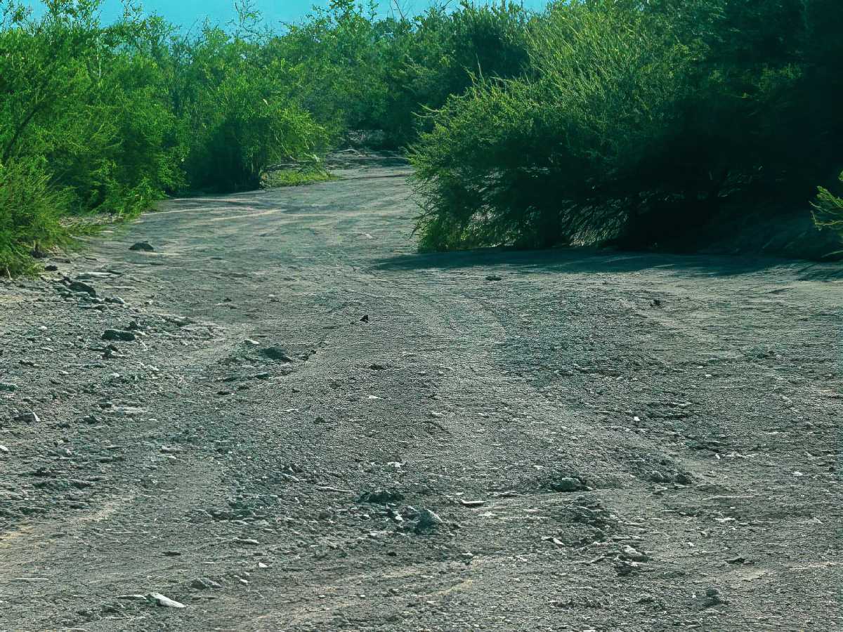 SS1156 photo 5