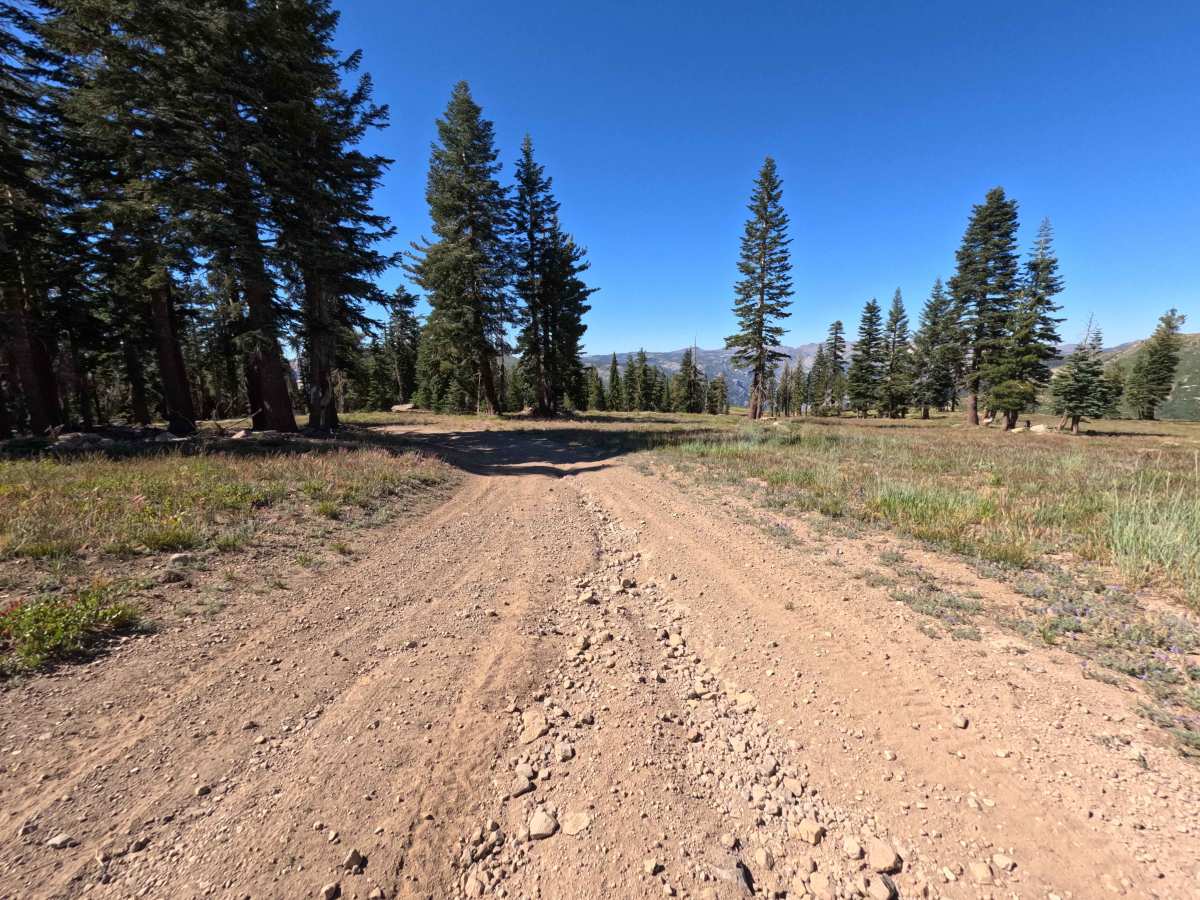 FS 17EV279 photo 3