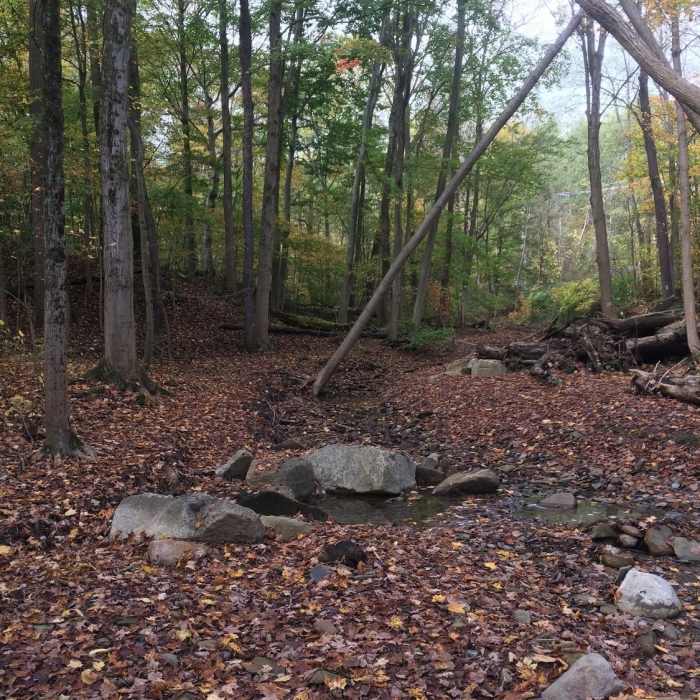 Near Ohio & Erie Canal Towpath Trail