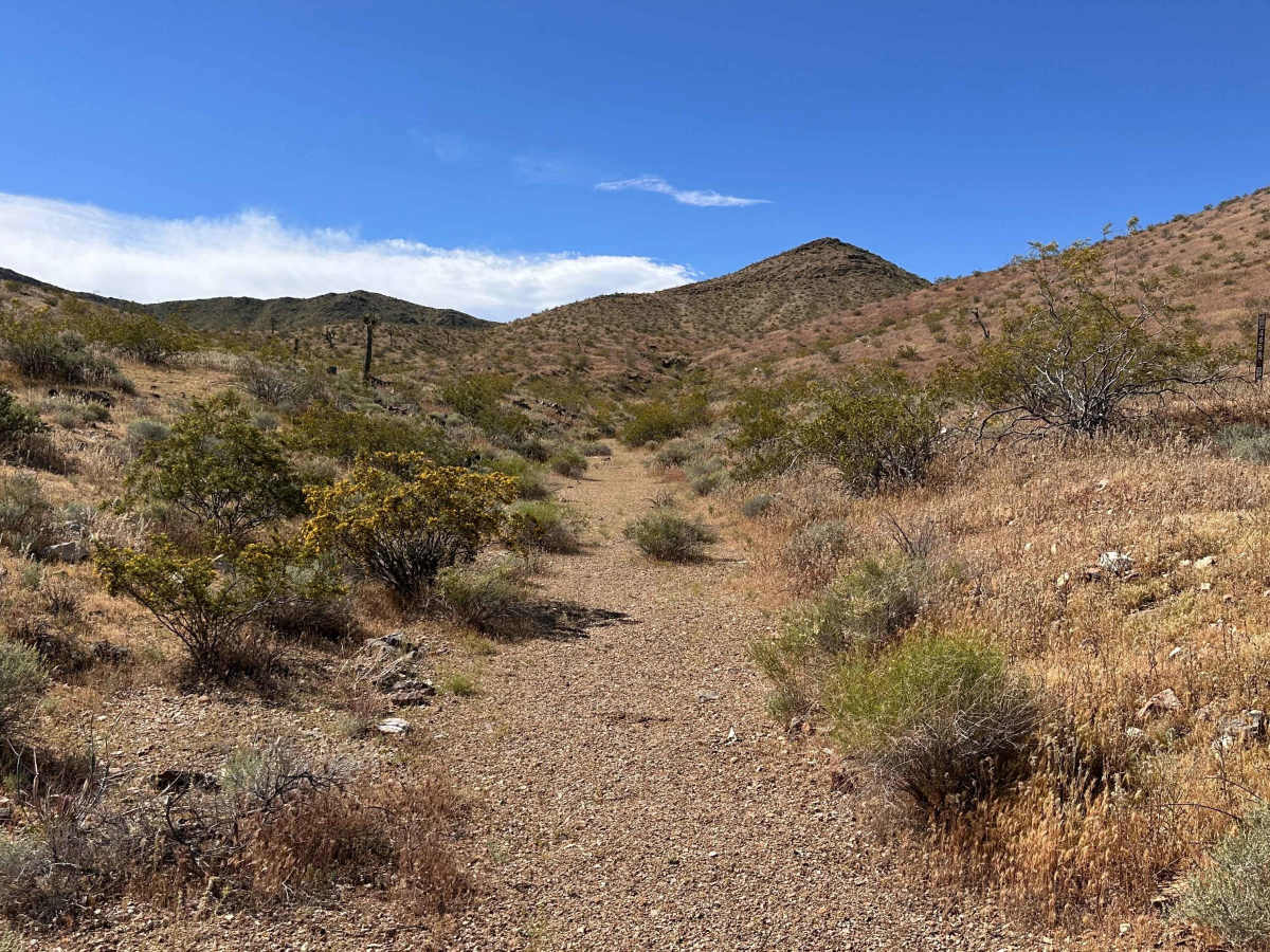 Mule Canyon photo 5