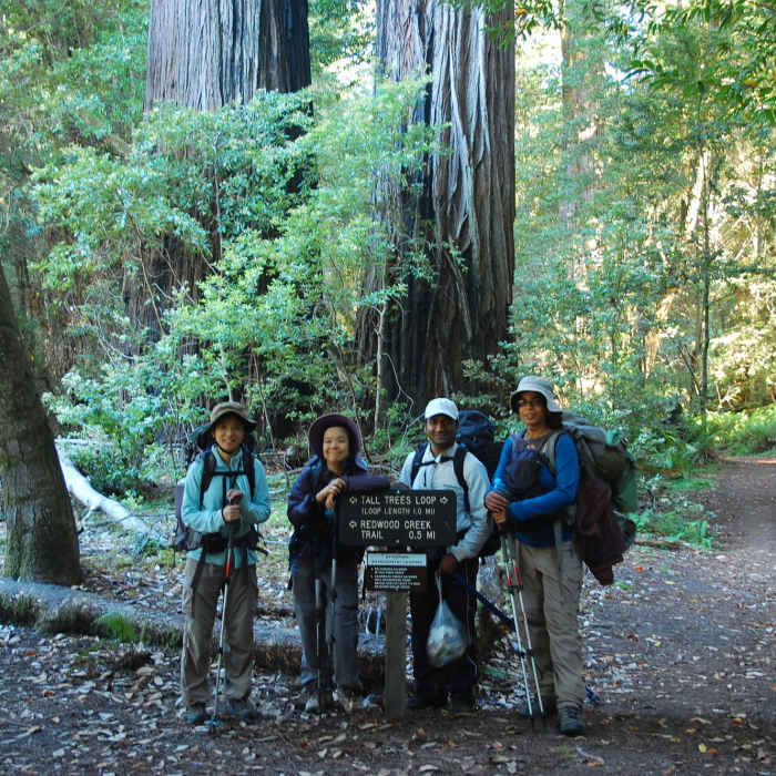 Near Redwood Creek Trail