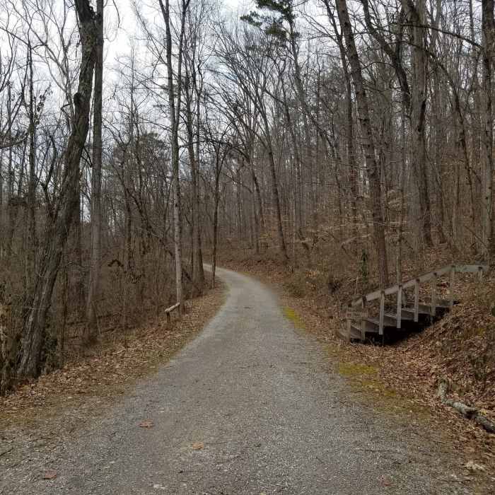 Start of the trail! Near UT Arboretum 3-Mile Loop